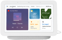 Google Nest